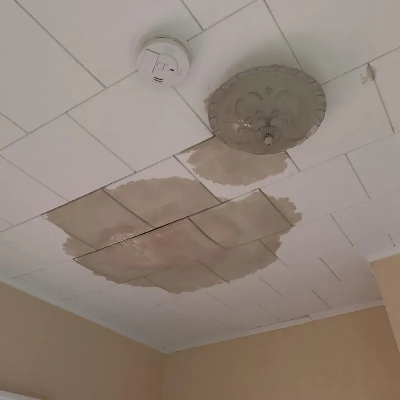 Ceiling Water Damage Repair in Beale Air Force Base, CA