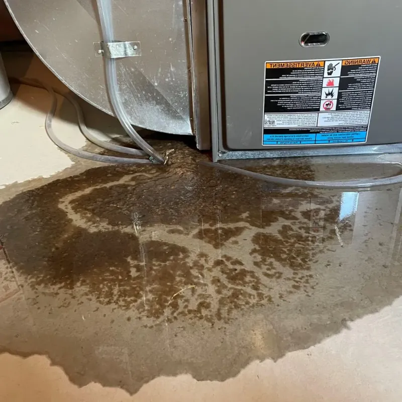 Pipe Burst and Leak Restoration in Beale Air Force Base, CA